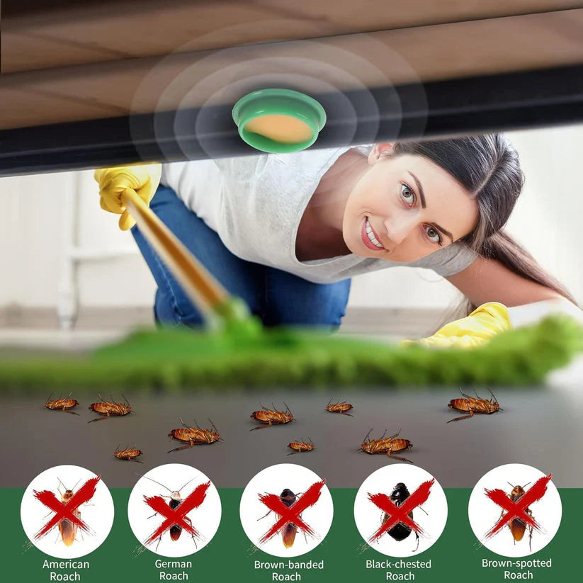 Cockroach Killer Powder Gel 6 Pcs | Buy 1 Get 1 Free (12 Pcs)