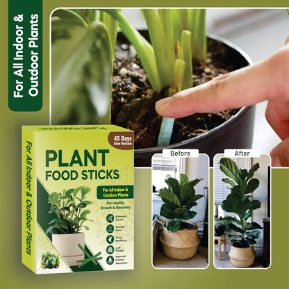 Plant Grow Fertilizer Sticks For Plants - 50 Stick Pack of 2 & 4