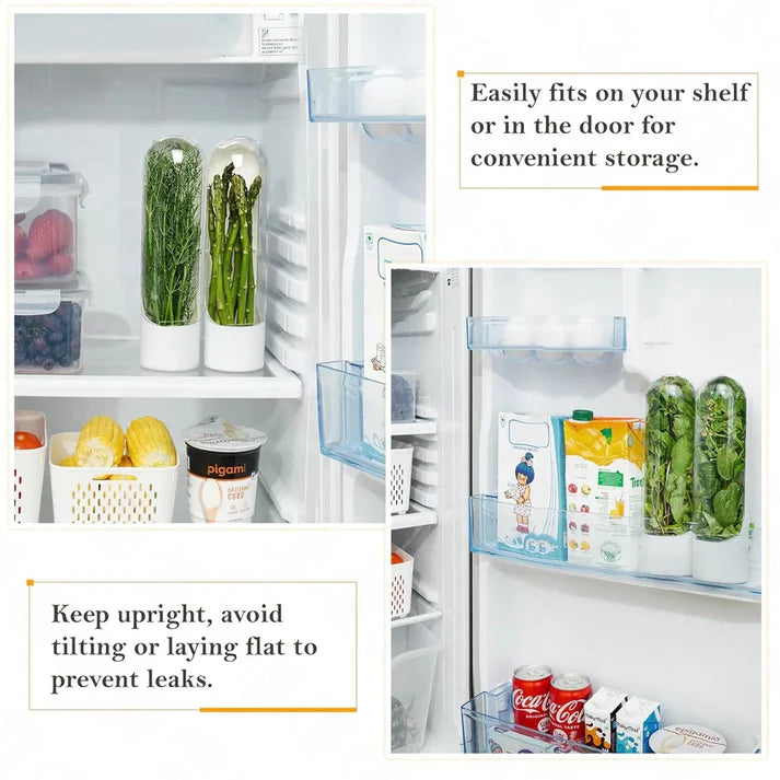 Herb Saver Pod Container for Fridge